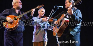 Michael Marra on the fiddle