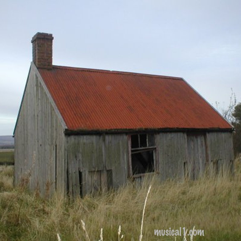 Michael Marra on new Roddy Womble Album