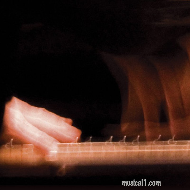 THE TONGUE THAT CANNOT LIE