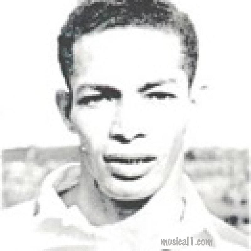 ECHOES OF THE BLACK ARROW