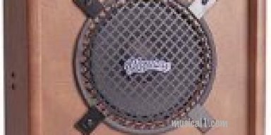 ALL I WANT FOR CHRISTMAS IS A PIGNOSE AMP