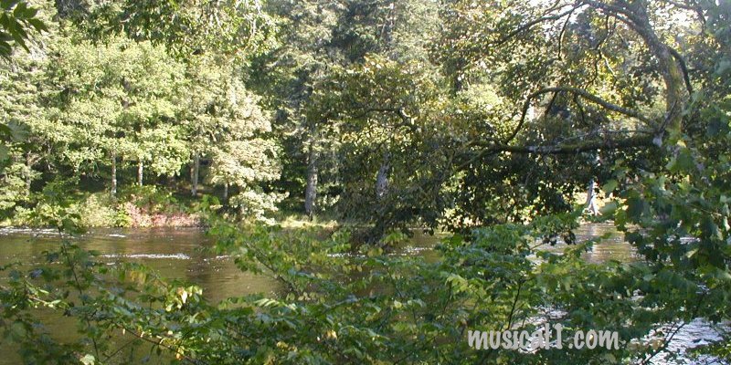 NIEL GOW'S FIDDLE TREE