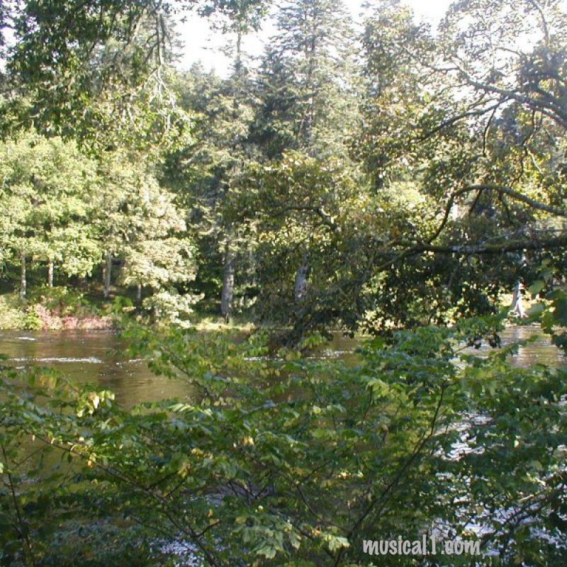 NIEL GOW'S FIDDLE TREE