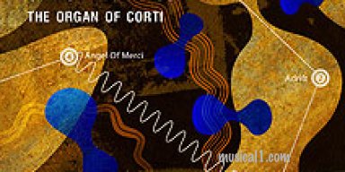 THE ORGAN OF CORTI - New Dave Formula and Christine Hanson Album features Michael Marra