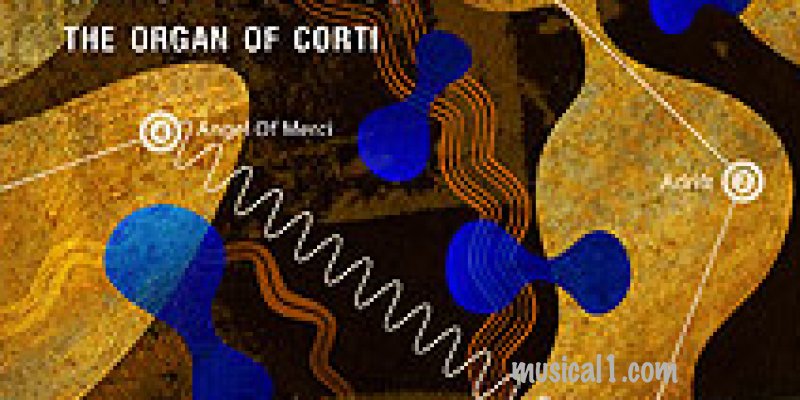 THE ORGAN OF CORTI - New Dave Formula and Christine Hanson Album features Michael Marra