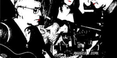 Birddogs - MP3 Album