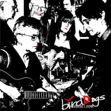 Birddogs - MP3 Album