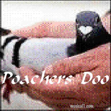 poachers deux