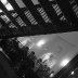 whitehalls 028