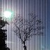 _BlueSun__
