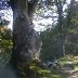 Blipfoto 687