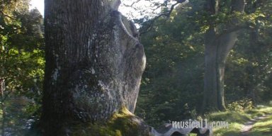 Niel Gow's Fidle Tree 