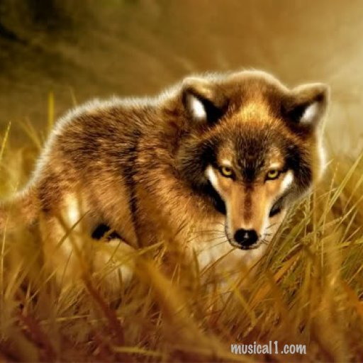 Paul Grimwood