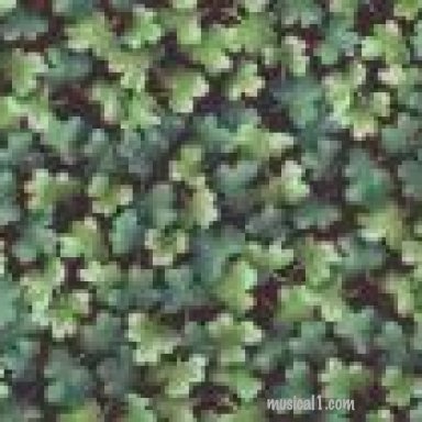 The Luckiest Man In The World