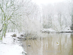 THE LOCH