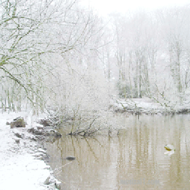 THE LOCH
