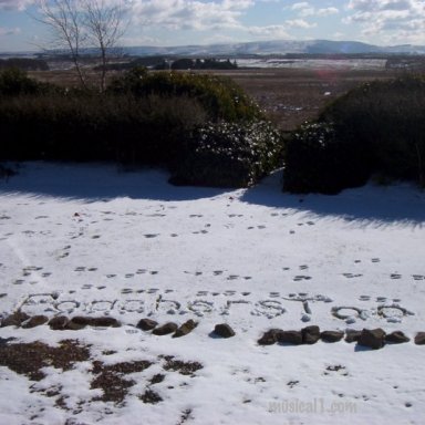 Saturday