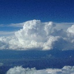 DESPITE ALL THE CLOUDS