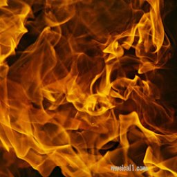 Bonfire Night