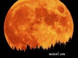 Big Bad Moon