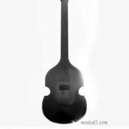 Hofner Fiddle-Bass