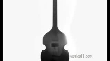 Hofner Fiddle-Bass